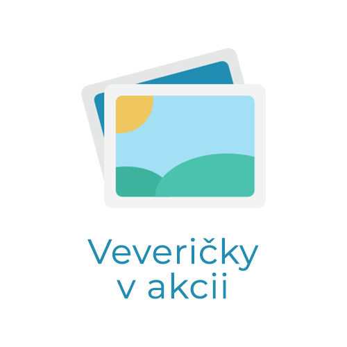 Veveričky v akcii (Školský rok 2016 / 2017)